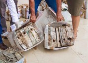 Depuran el Archivo Municipal de José María Morelos