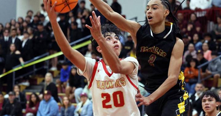 NHS boys open hoop season with win over Rio Rico