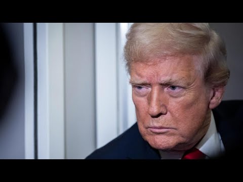 Strategists representing Democrats and Republicans react to Trump's latest immigration comments