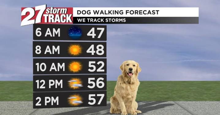 Sunny and mild today before snow chances tomorrow