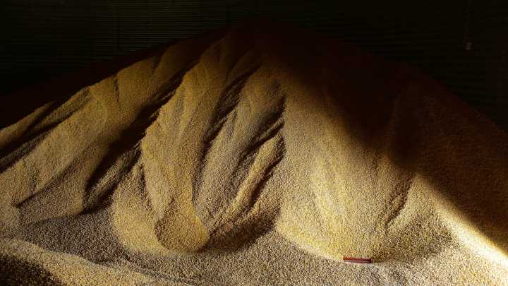 Iowa Learning Farms virtual field day scheduled for Dec. 4