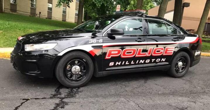 Dog shoots owner in the back after jumping on shotgun left on bed: Police