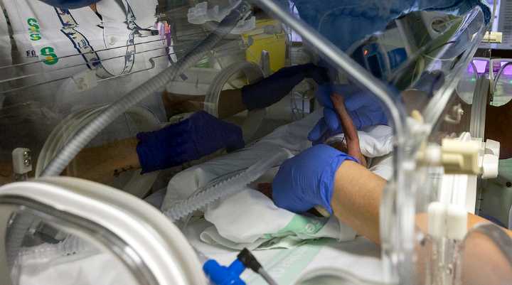 El Hospital atendió a 186 bebés prematuros en 2024