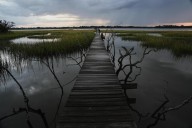 EPA moves to limit scope of clean water law to reduce amount of wetlands it covers