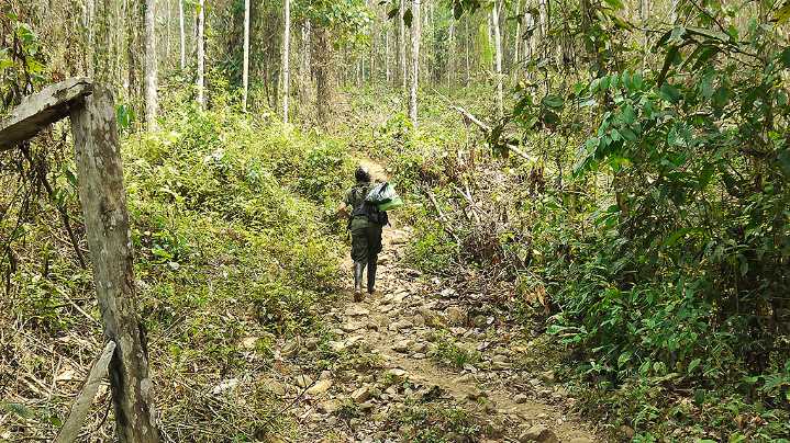 Alerta en Colombia: 15 niños muertos en bombardeos militares