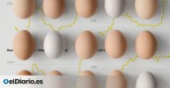 La gripe aviar dispara el precio del huevo y los productores temen la especulación: "No va a haber problemas de oferta"