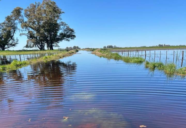 Lo que viene. La infraestructura y la gobernanza del agua, en el tope de las prioridades