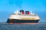 Passenger, 73, dies after falling from Disney Wonder cruise ship