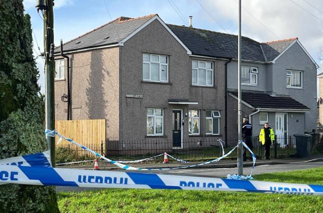 Girl, 17, stabbed to death in front of her mum at family home