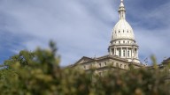 Michigan lawmakers push for free personal protection orders to combat domestic violence