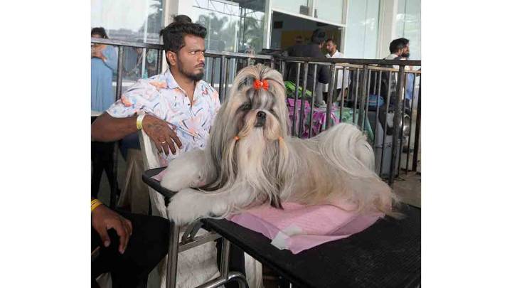 HyCan 2025: Hyderabad’s Biggest Pet Show Begins Tomorrow