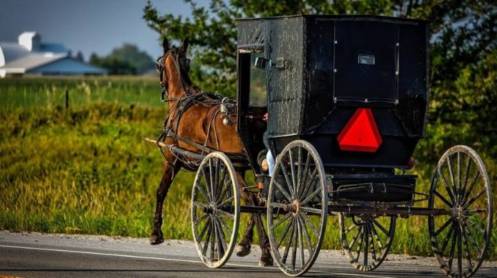 Mennonites Totally Unaffected By Spike in Gas Prices