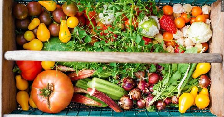 UW-Madison Dane County Extension program teaches skills beyond farming