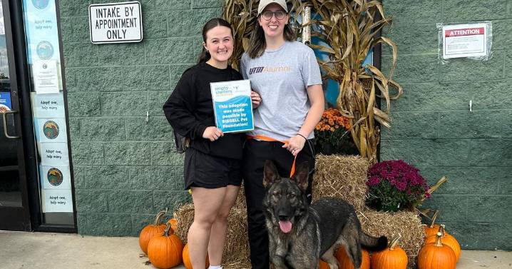 Free and discounted pet adoptions offered at shelters across the Tennessee Valley