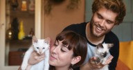 Guía práctica para cuidar a tu gato: consejos avalados por expertos