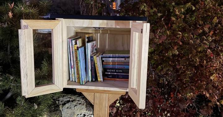 Little library installed at Big Brothers Big Sisters of Flagstaff in partnership with HealthCorps
