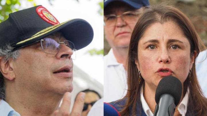 'Pido al presidente suspender los bombardeos': defensora Iris Marín ante posible muerte de menores en otros ataques aéreos