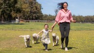 Perth pet owners are increasingly hiring private dog parks to spend uninterrupted time with their fur