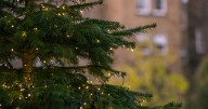 Christmas tree cheer for communities in Wishaw after council agreement