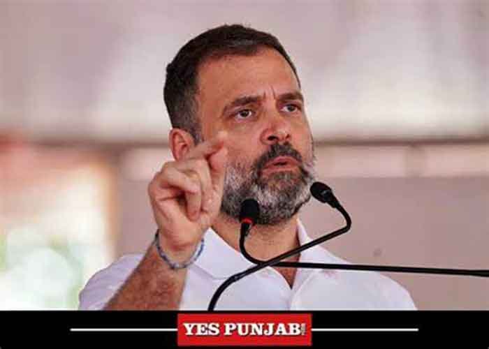 Rahul rallies Congress cadre in Madhya Pradesh; slams BJP over mid