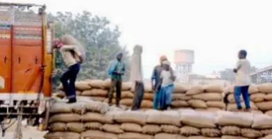 Four New Labour Codes Come Into Effect; Greater Security Net For All Workers