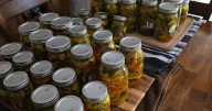 City Hall: Post-Picklegate proposal cans canning from homestead ordinance changes