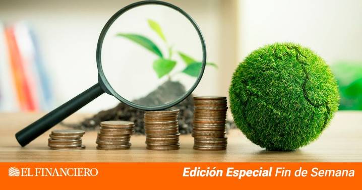 ¿Quién debe pagar por todo este des… orden?