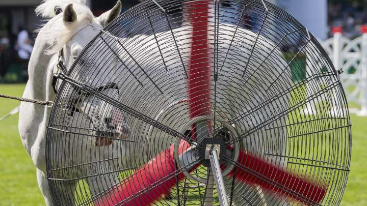 Sigue la trágica tendencia: 2025 será el segundo o tercer año más cálido jamás registrado