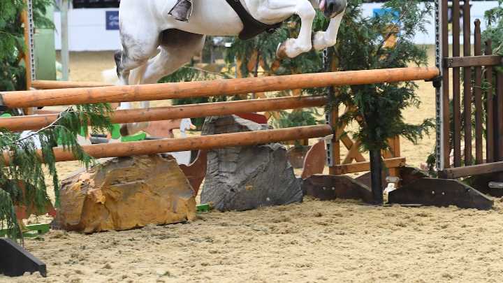 Mixed reactions to controversial new working hunter pony rule changes