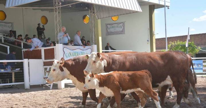 Buenos precios, plazos y ventas totales en el remate de bovinos de 2 prestigiosas cabañas