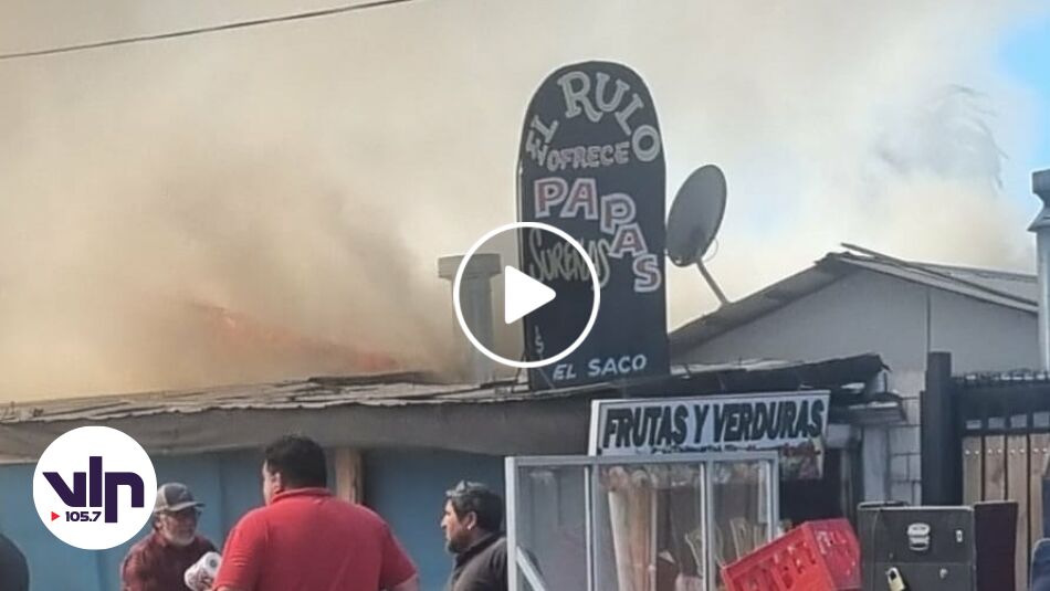 Se quemó “El Rulo”: Incendio consume por completo estructura de local en Isla de Marchant
