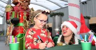 The Centre, Livingston unveils Christmas programme including first Elf School