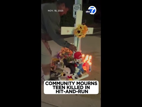 13-year-old boy killed in Dana Point hit