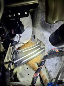 Denton County ESD rescues elusive furry friend