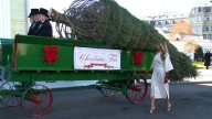 Melania Trump recibe el árbol de Navidad de la Casa Blanca