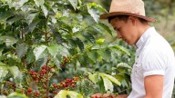 Mientras otros países avanzan en negociaciones, Colombia sigue rezagada para eliminar arancel de 10 % a café y otros productos en Estados Unidos