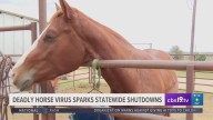Deadly horse virus sparks statewide shutdowns including in East Texas