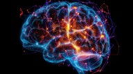 Identificaron dos indicadores de salud clave inciden en el envejecimiento cerebral
