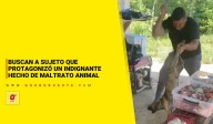 Buscan a sujeto que protagonizó un indignante hecho de maltrato animal