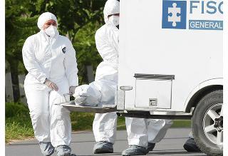 Trágico ´puente´ de Halloween dejó 10 muertos