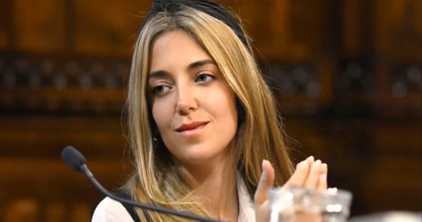 Involucrada en el escándalo de ANDIS, renunció una funcionaria de Economía a la que le encontraron 700.000 dólares