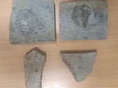 Revisaron su auto y hallaron una intrigante colección de fósiles de más de 500 millones de años: "Dijo que eran regalos para sus amigos"