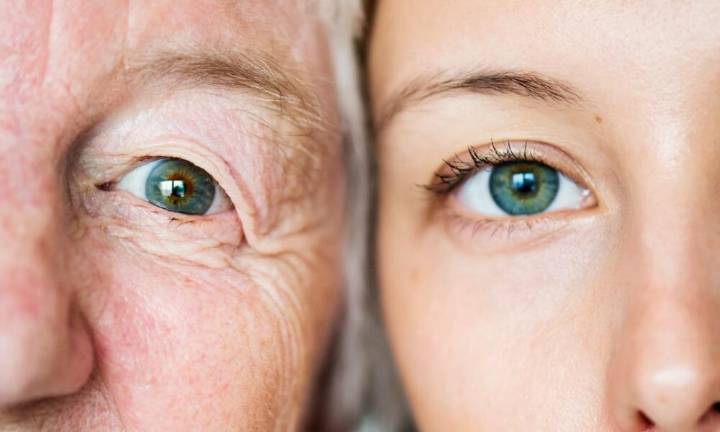 Estudio revela dos etapas críticas del envejecimiento humano