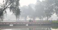 Delhi’s AQI rises to 373, air quality remains ‘very poor’