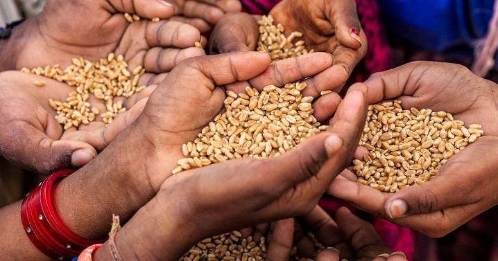 Government To Seek Feedback Of 20 Lakh PDS Beneficiaries Per Month Via AI Platform