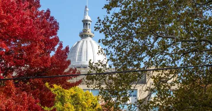 Illinois lawmakers approve state-specific vaccine guidelines, punt on gambling bill