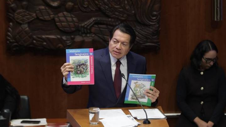 “Los niños que no nacen no van a la escuela”: Mario Delgado durante su comparecencia en el Senado