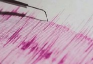 Earthquake of 5.4 magnitude recorded in Andaman Sea: Seismology c...