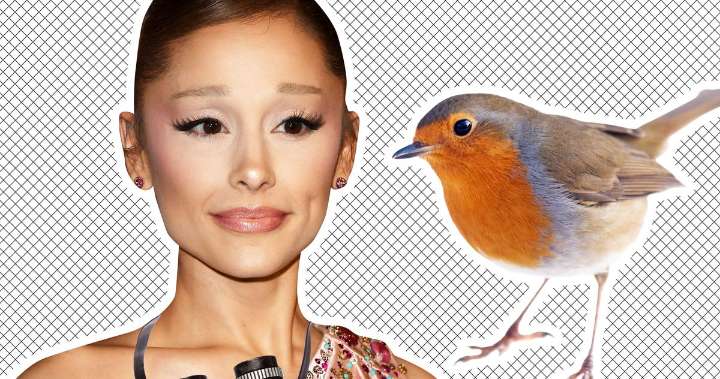 Ariana Grande Is Getting Into Bird