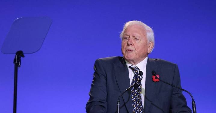 Sir David Attenborough diet choice he credits to long life at 99